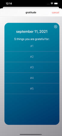 displayed response to gratitude journal