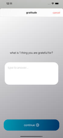 gratitude journal in text form